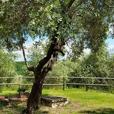 Madonna Della Sanita Sleeps 2 Pool T763599 Apartment